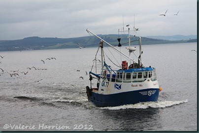 22-fishing-boat
