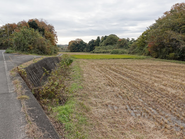 つぼかめ山付近は田園が多いです