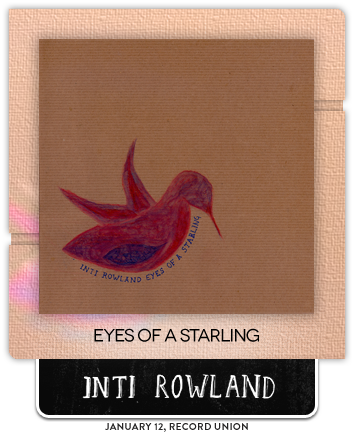 Eyes of a Starling by Inti Rowland