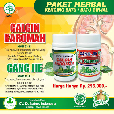 MERK OBAT PENYAKIT BATU GINJAL ATAU KENCING BATU DI APOTIK 