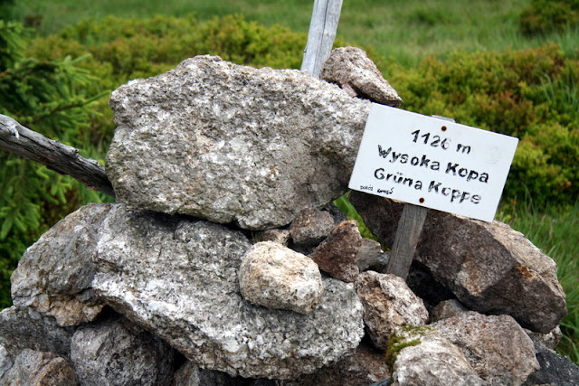 Gipfel des Hinterberges (Grüne Kuppe) im Isergebirge