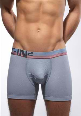 C-IN2 Boxer Briefs