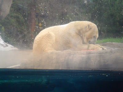 San Diego Zoo