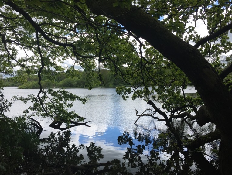 Hillsborough-Lake