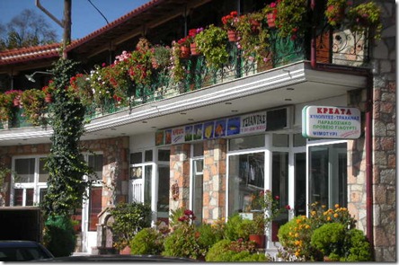 Ξεκαθάρισμα 9-1-2011 027