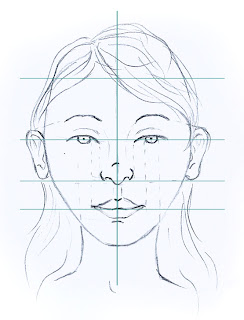 Drawing of face with proportion measures