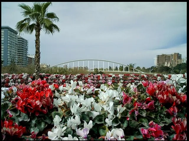 Paseos Fotográficos Valencia - Puente de las Flores