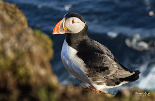 Photography in Iceland - A Snapshot of Nature