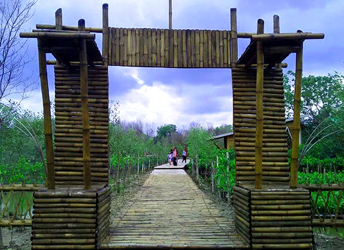 hutan mangrove gunung anyar di jawa timur