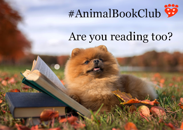 Pomeranian reading outdoors in Autumn because the book club choice is Plenty in Life is Free