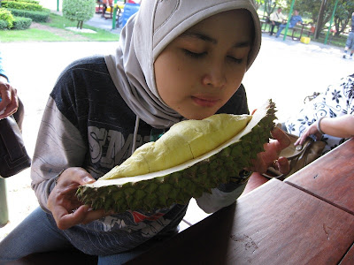 Bahaya Memakan DURIAN  Unik Euy