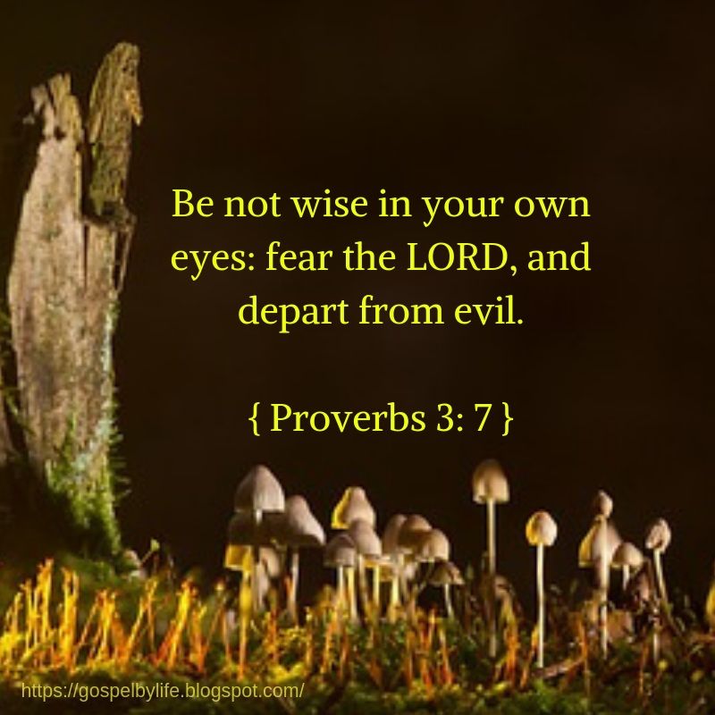 Image with Good Night Gospel verse - Proverbs 3.7