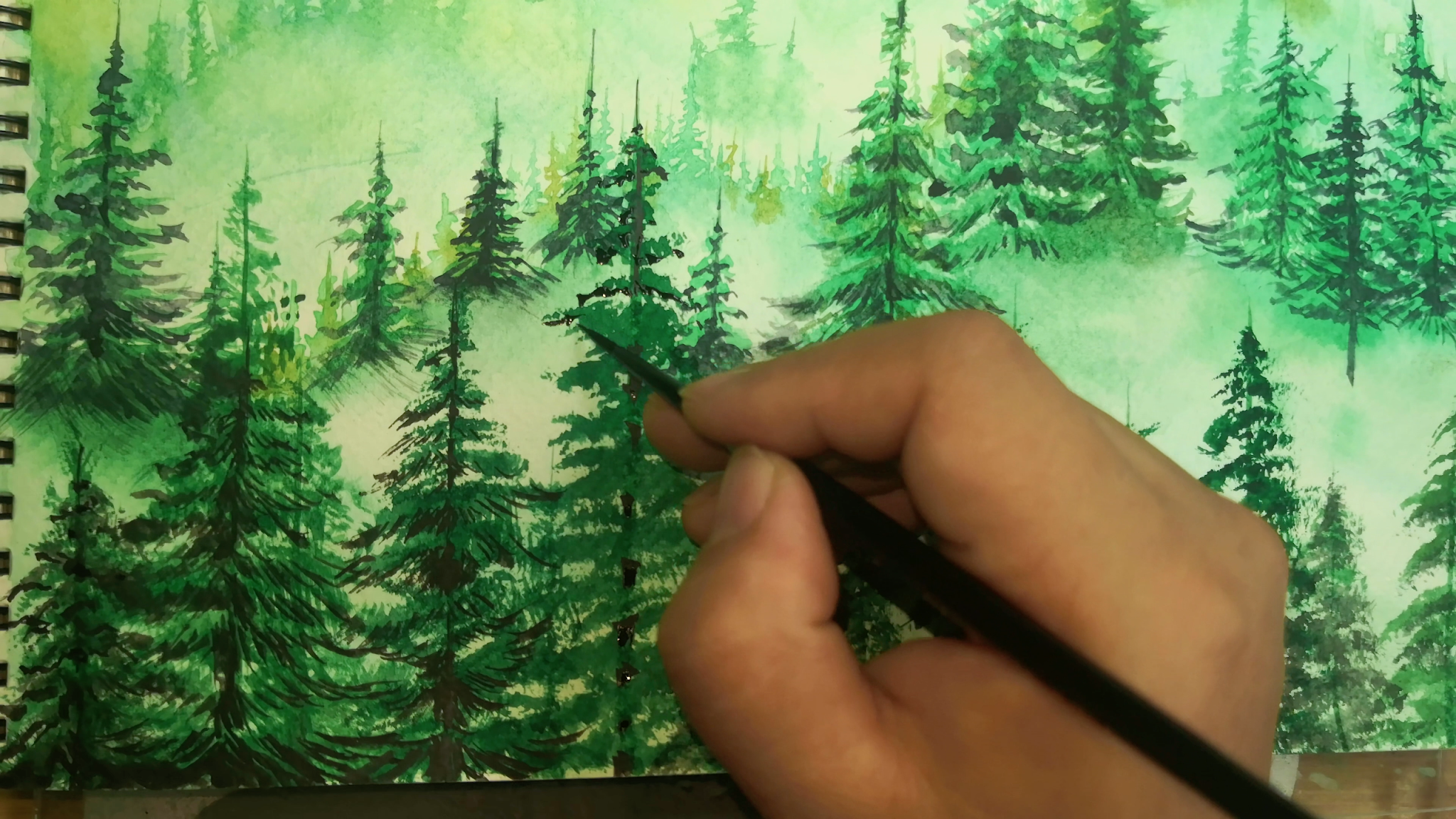 Watercolor pine tree forest tutorial, How to draw a forest, come to see my web online class