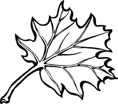 leaf coloring pages