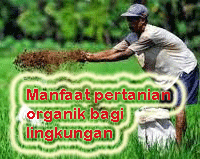 "manfaat pertanian organik"