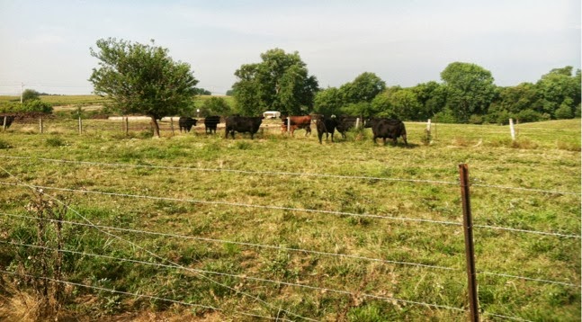 HikingthroughFields%252526Pastures-2-2013-08-22-22-20.jpg