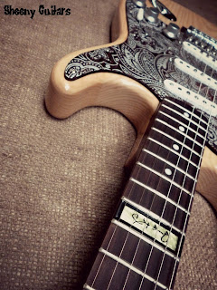 http://sheeny-guitars.blogspot.com/2016/07/statocaster-customized.html