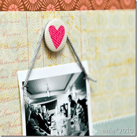 ania207_cu2