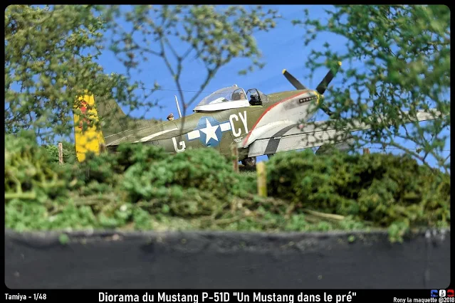 Diorama P-51D Mustang et Ford Sedan de Tamiya au 1/48.