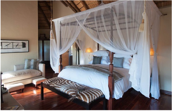 Safari Bedroom Decor