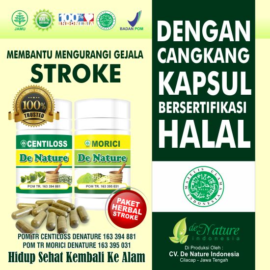 Obat stroke, obat herbal stroke, obat menyembuhkan stroke, obat menangani stroke, obat untuk stroke, obat alami stroke 