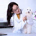 Pet Insurance: Protecting Your Furry Friends and Your Wallet