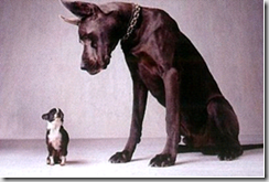 Differenza di taglia