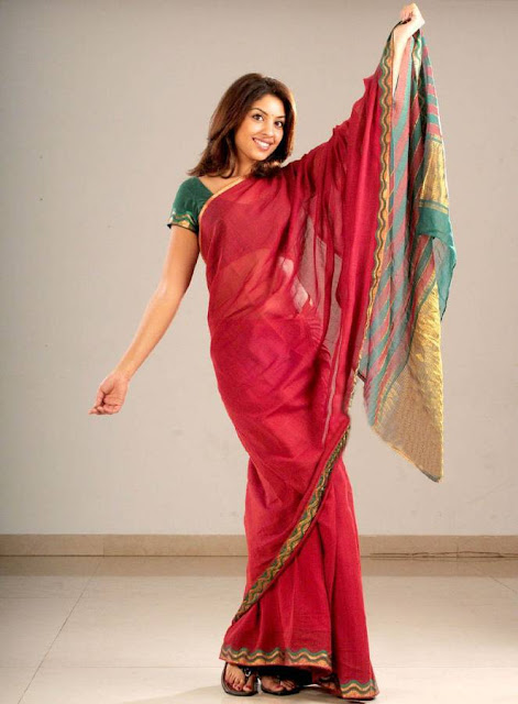 Richa Gangopadhyay Photo Shoot in Saree