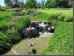171109 013 Cowra Japanese Gardens