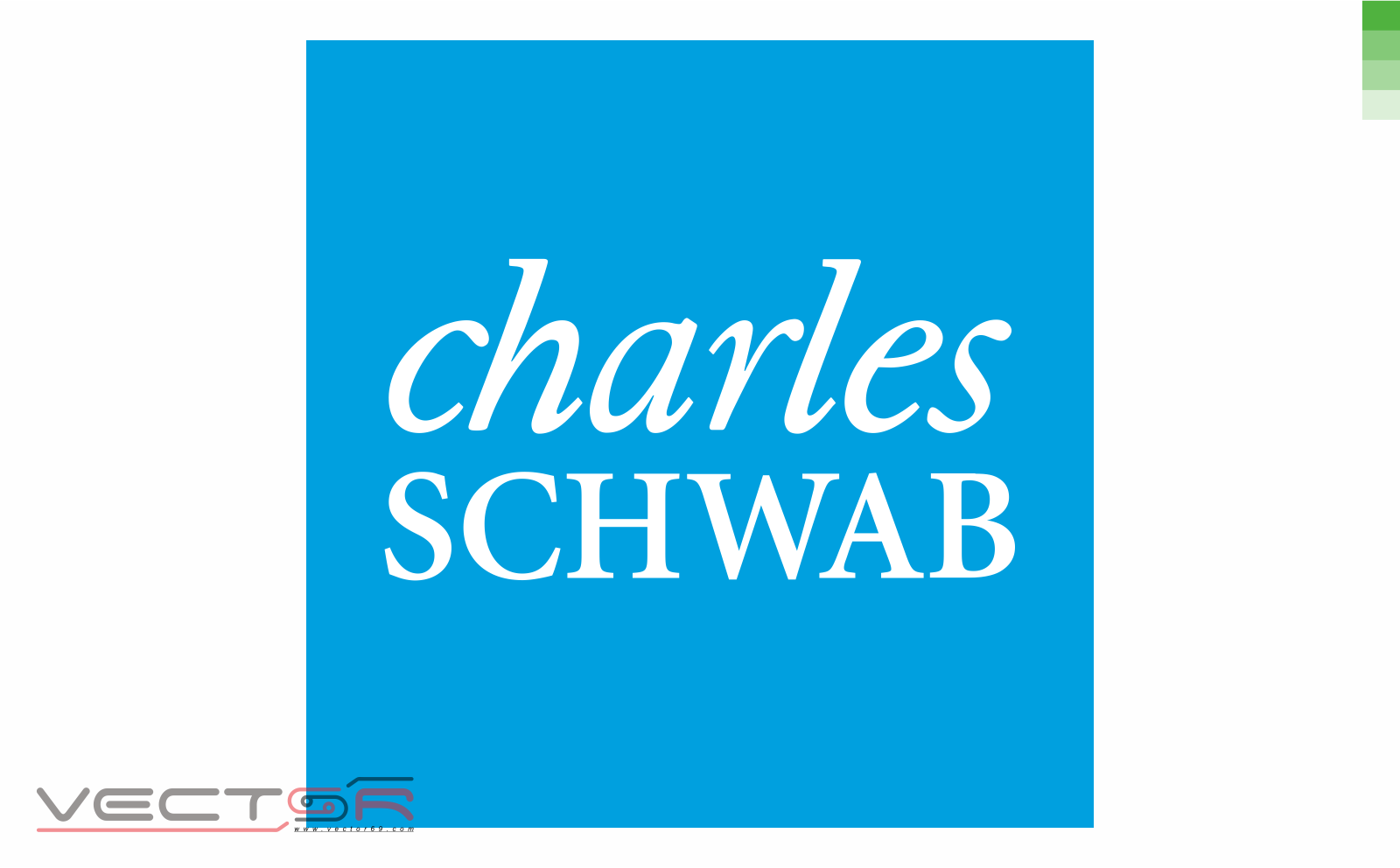 Charles Schwab Logo - Download Vector File CDR (CorelDraw)