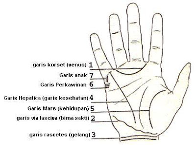 7 Misteri Meramal Garis Tangan Seseorang [ www.BlogApaAja.com ]