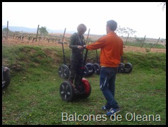 Segway_entrenamiento
