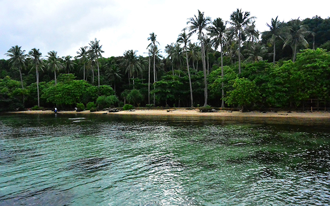 Hamparan pasir dan jejeran Nyiur di tepian pantai