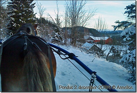 2009-2des-pondus_01