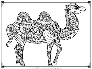 camel coloring pages for adults