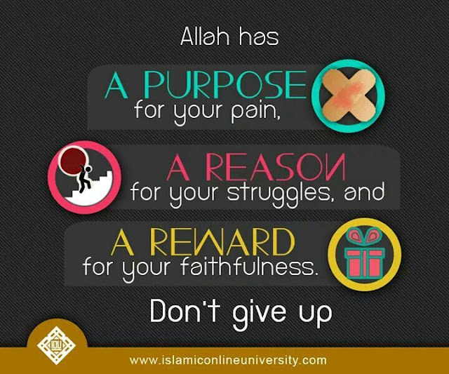 Never Give Up - Rely on Allah