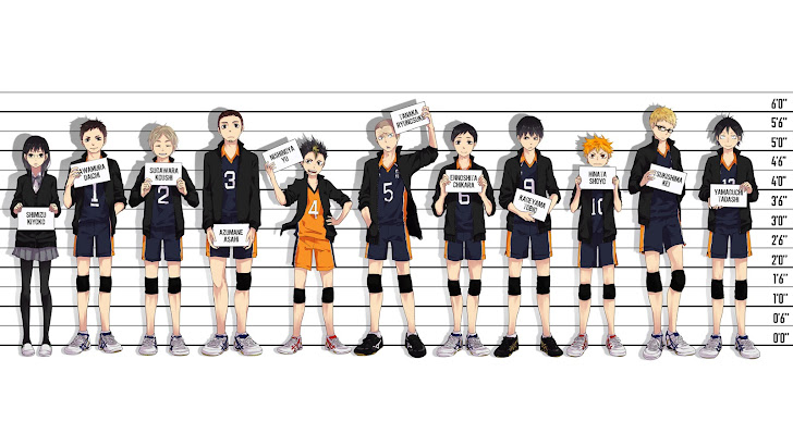 Karasuno High Haikyuu Anime 14