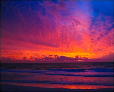 Blazing GloryIMG_0351