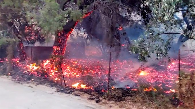 Καθαρισμοί κατόπιν εορτής.... μετά την μεγάλη καταστροφή!