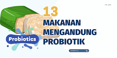 makanan berprobiotik