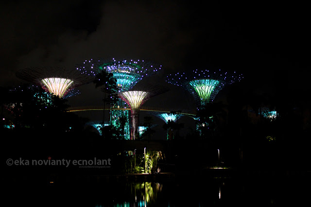 sky tree singapore