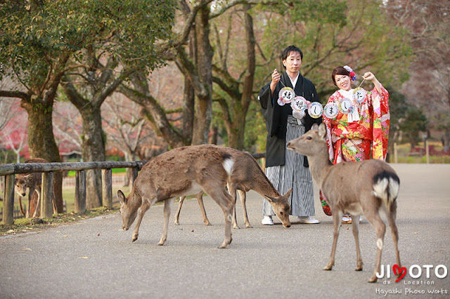 奈良の鹿と前撮りロケーション撮影