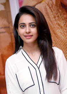 Rakul-Preet-Singh-Interview-Photos