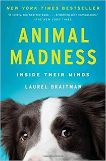 Cover of Animal Madness by Laurel Braitman, this month's book