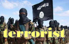 Granskning: IS-terrorister krigade med bidrag från Sverige
