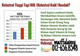 Pemilihan Produk yang Terbaik Menghalang Diri Kita Menanggung Seksa yang Lebih teruk dan Terlalu Lama.