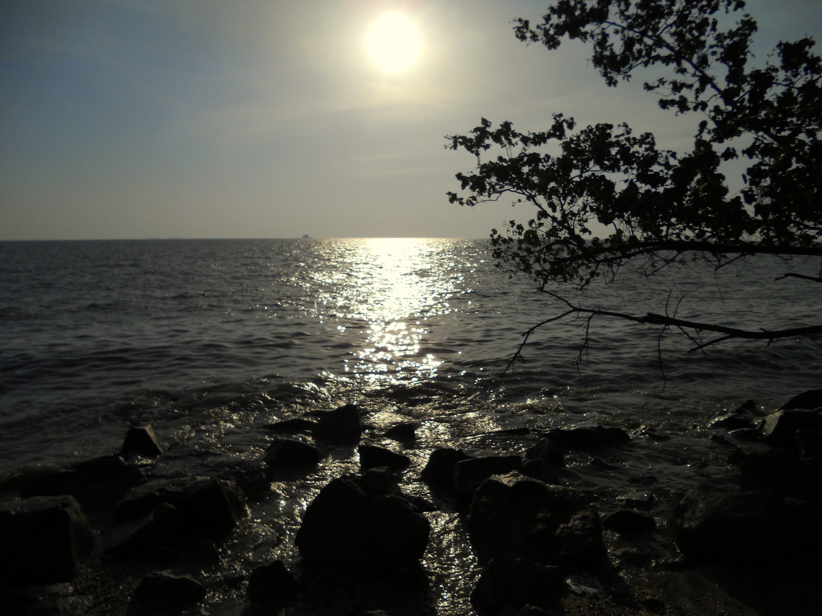 Eksplorasi Pantai Remis di Jeram Kuala Selangor 