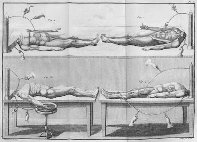 Experiments with headless cadavers