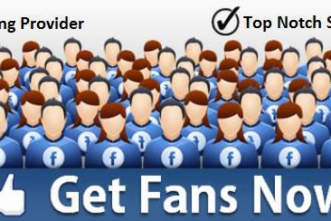 fantastic Facebook Marketing : how to gain 2,500 to 1 Million Fans in Just Two Years