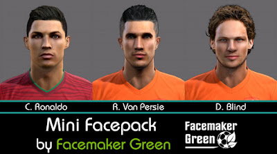 PES 2013 Mini Facepack by Facemaker Green